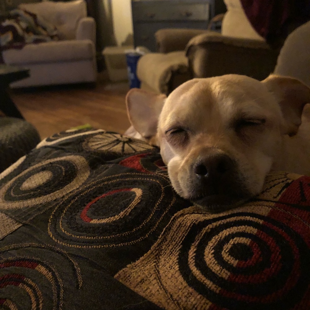 Meet your Posher, Megan